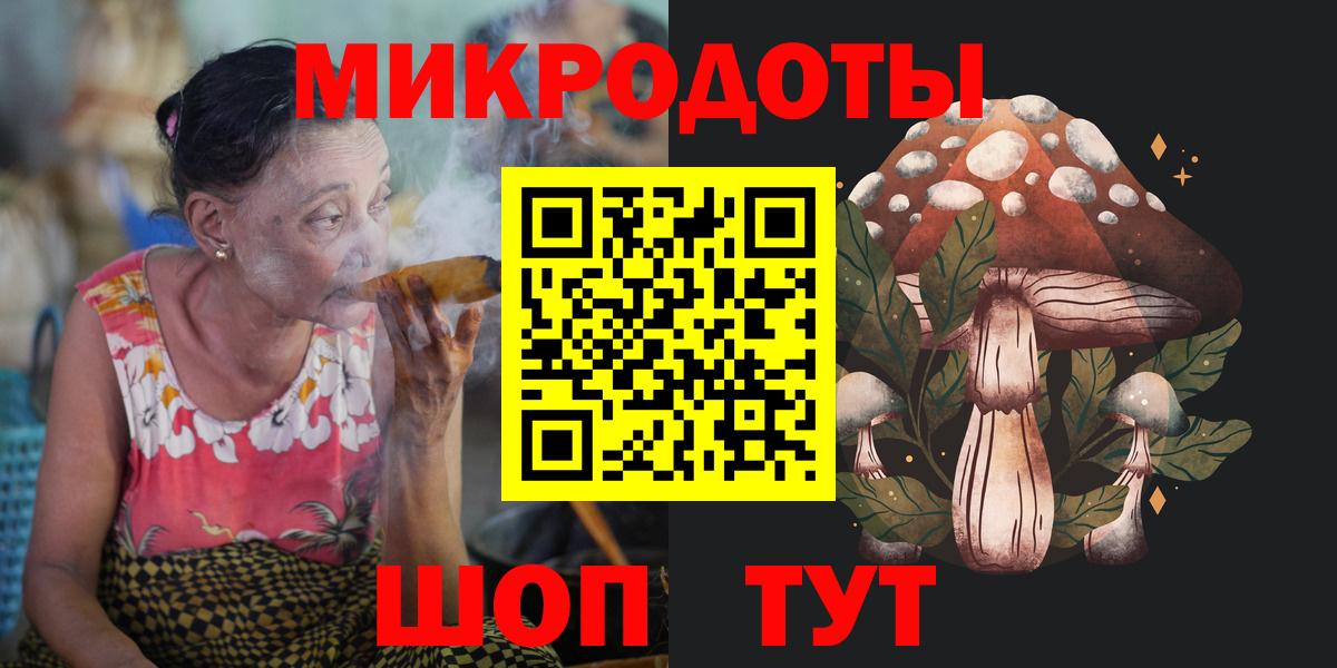 Псилоцибиновые грибы Psilocybe Сертолово