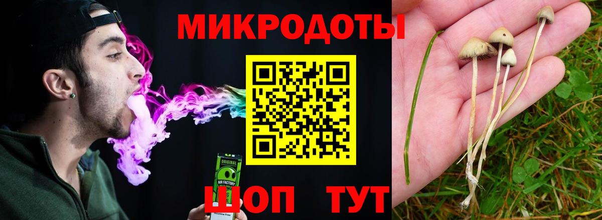 Псилоцибиновые грибы MAGIC MUSHROOMS  Вход с VPN  Сертолово 
